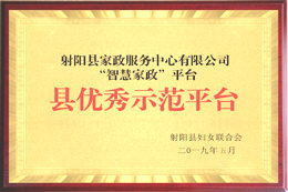 智慧家政县优秀示范平台